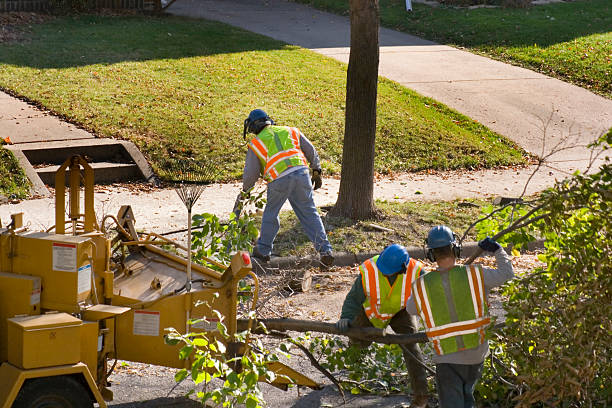 Best Landscape Design and Installation  in Silver Hill, MD